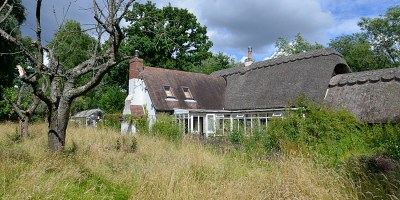 Rewilding a Hampshire garden - an example of a country garden hay meadow